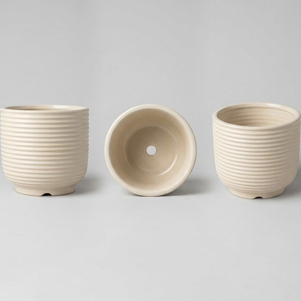 Voln Ribbed Ceramic Plant Pot 5 in Sage Green