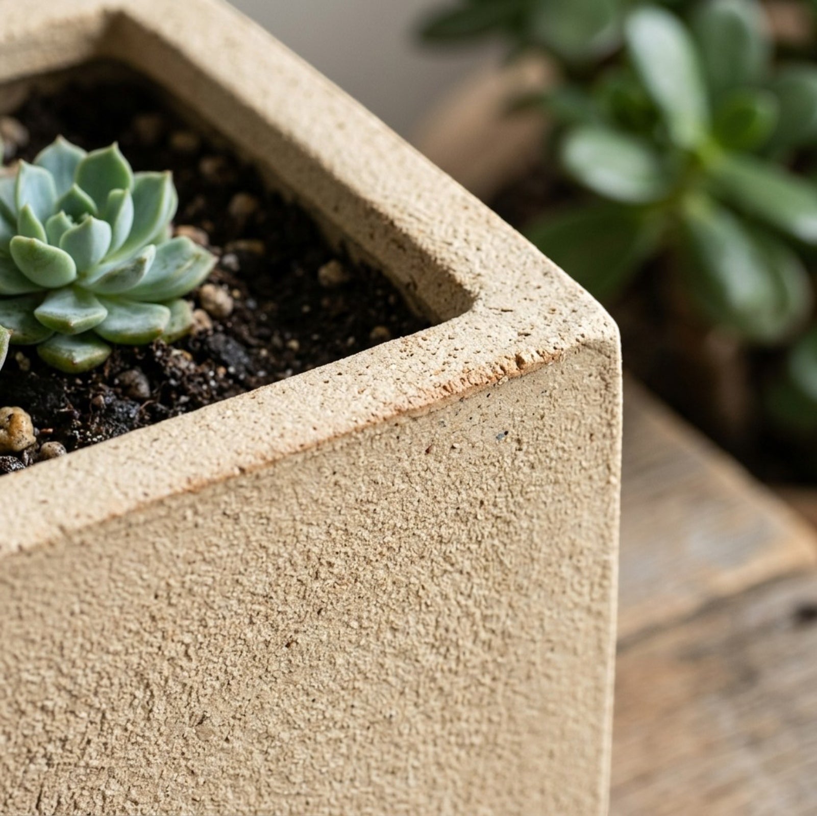 Voln Square Ceramic Succulent Pots 3-Pack 3.5 in Sand