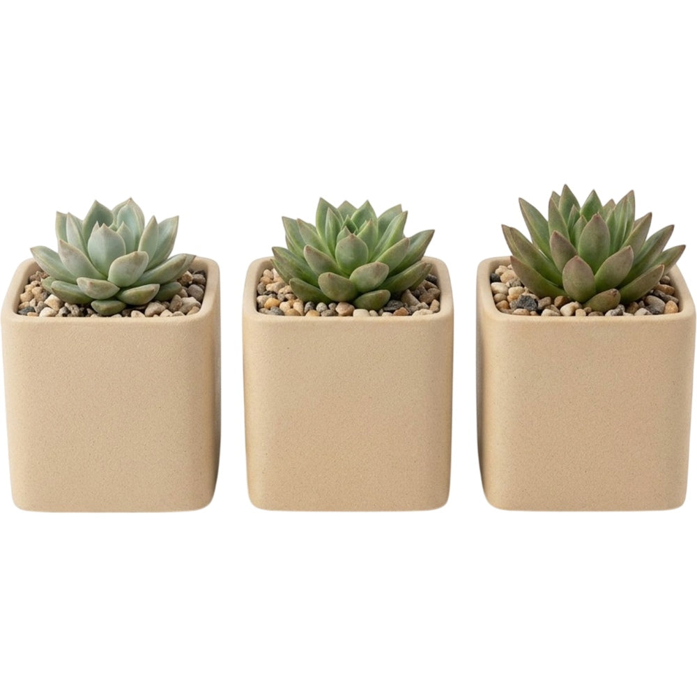 Voln Square Ceramic Succulent Pots 3-Pack 3.5 in Sand