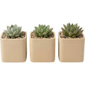 Voln Square Ceramic Succulent Pots 3-Pack 3.5 in Sand