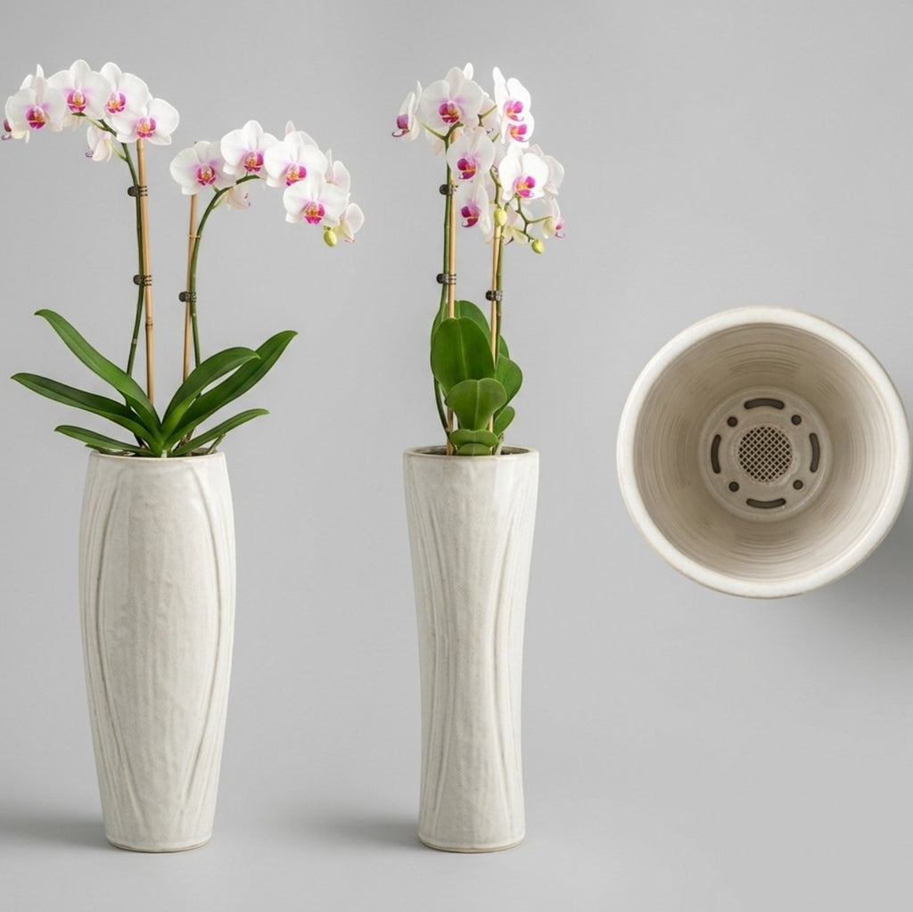Voln Tall Ceramic Orchid Planter 8 in Charcoal