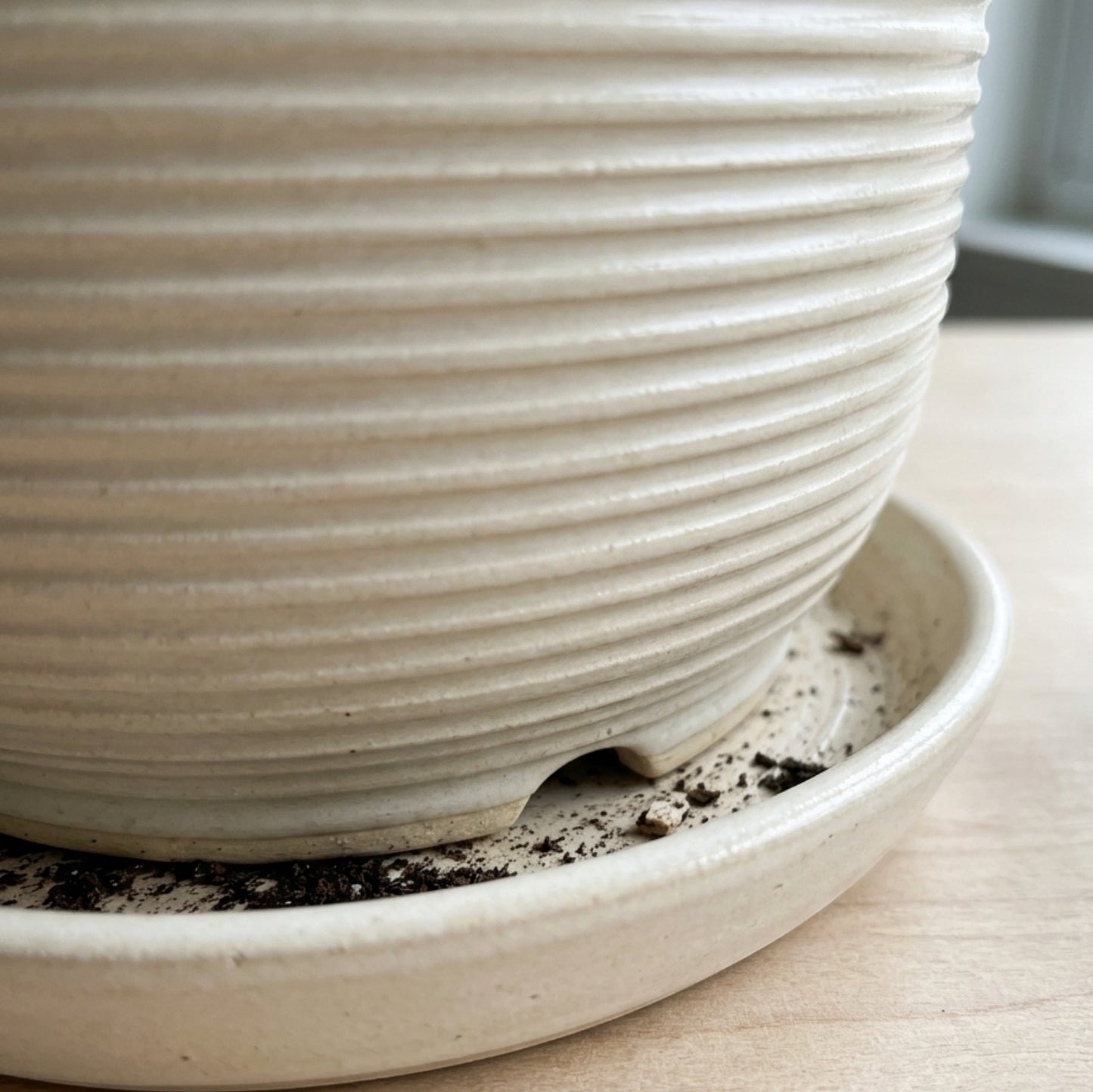 Voln Ribbed Ceramic Planter Ivory 6 in