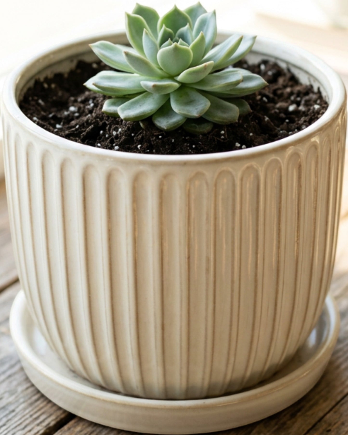 Voln Ribbed Ceramic Planter Ivory 6 in