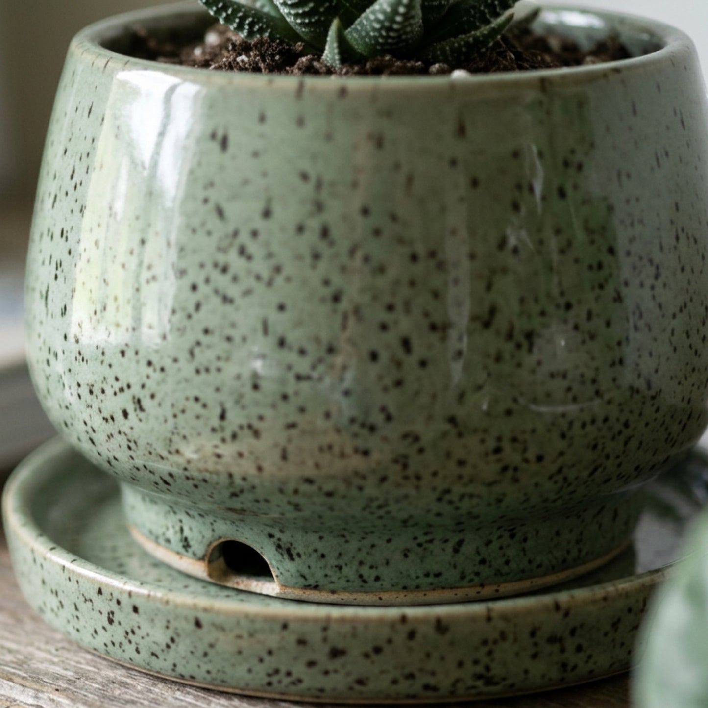 Voln Speckled Ceramic Planter Sage 5 in